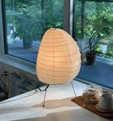 Akari 1N Floor Lamp